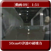 [-09]50cm̒Ôg̔j